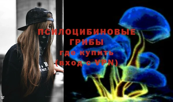 бутират Алзамай