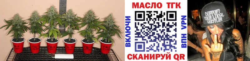 ТГК Wax  Калтан 